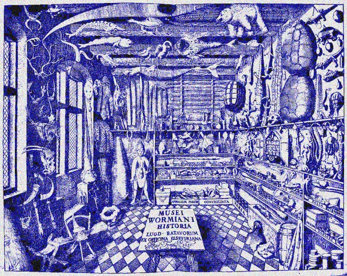 The Musei Wormiani Historia--the Cabinet of Curiosities of 17th century Danish Dr. Ole Worm, one of the most infamous antiquarians, proto-archaeologists, and Ashley's ancestor. 